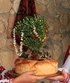 Кумовото дърво